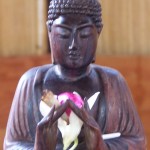 Dark Wood Buddha with Orchid
