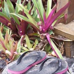 Flip Flops are all you need
