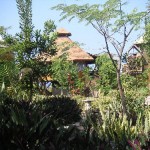 Timor Room from the Beach