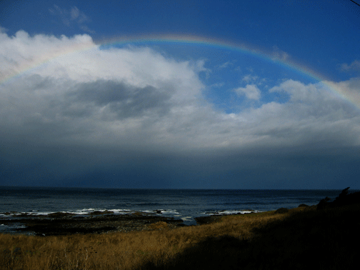 PreparingRainbow